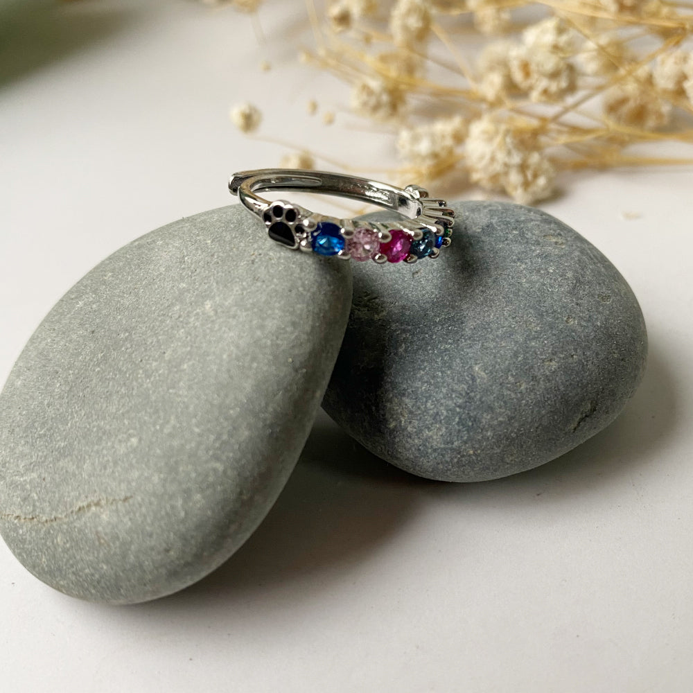 Adjustable Rainbow Bridge Memorial Ring – Stainless Steel