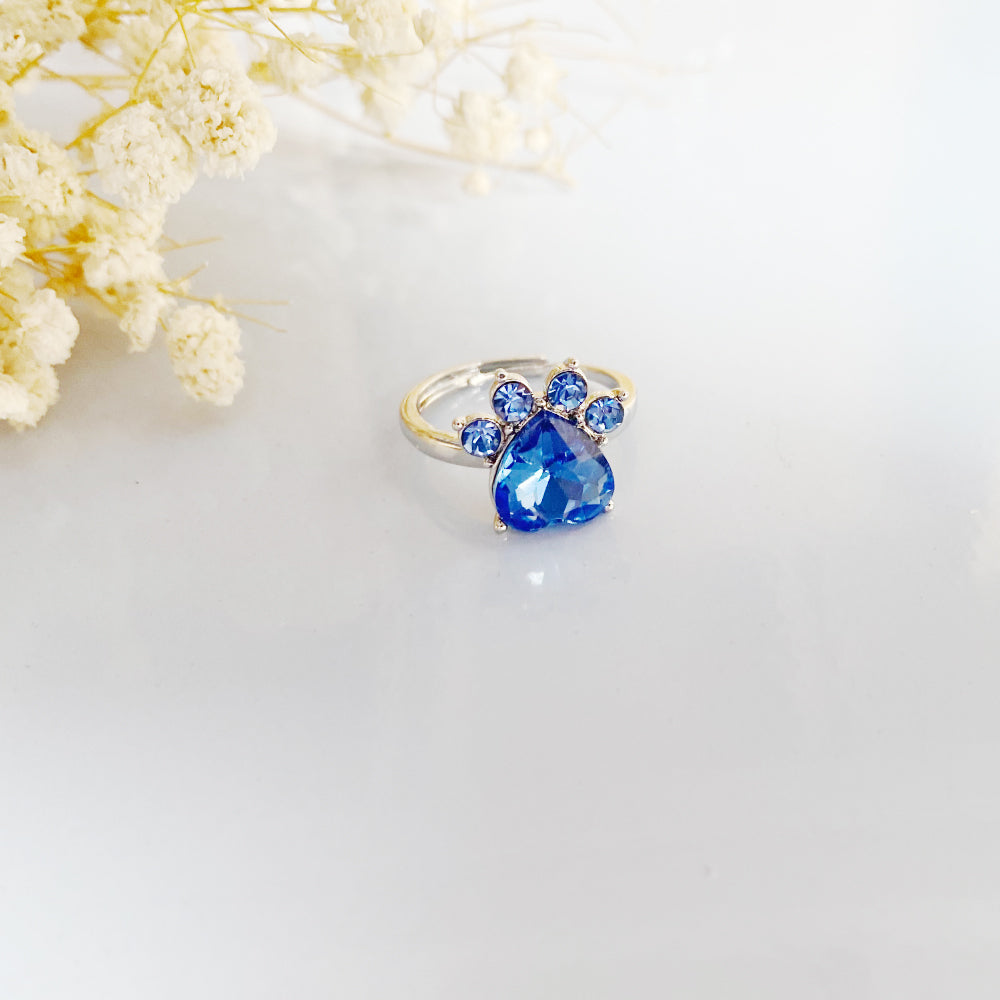 Personalized Paw Birthstone Ring – Stainless Steel