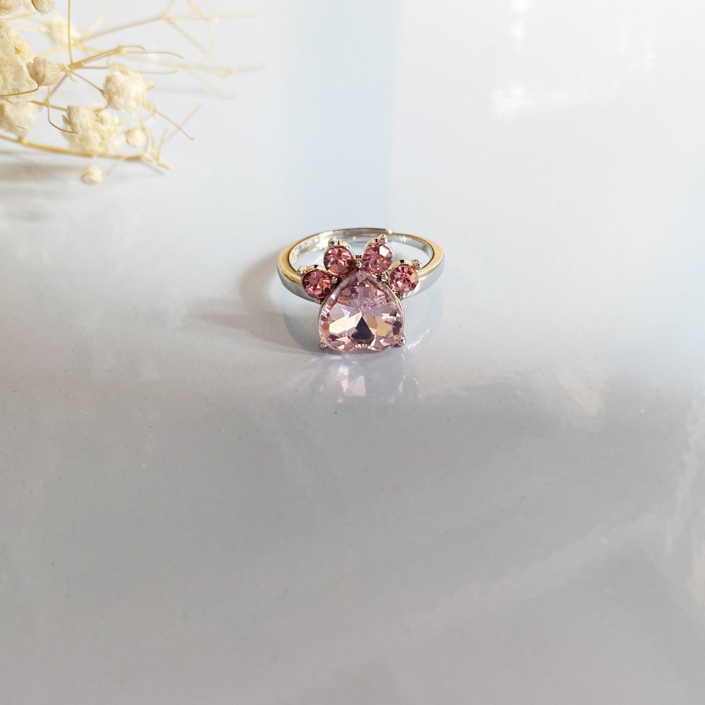 Personalized Paw Birthstone Ring – Stainless Steel