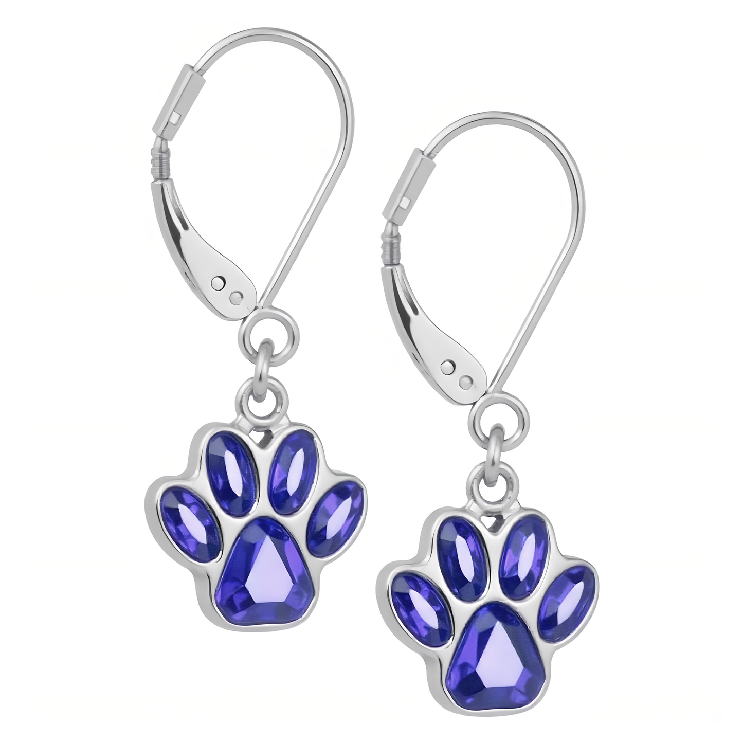 Handcrafted Birthstone Paw Earrings in Stainless Steel