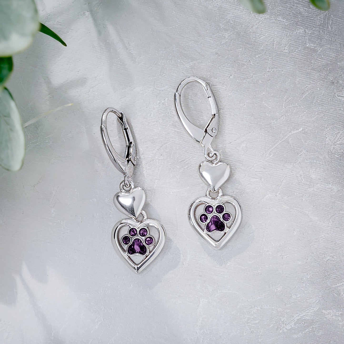 Paw Heart Birthstone Earrings in Stainless Steel