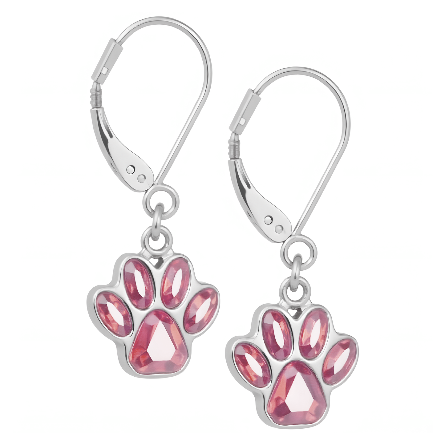 Handcrafted Birthstone Paw Earrings in Stainless Steel