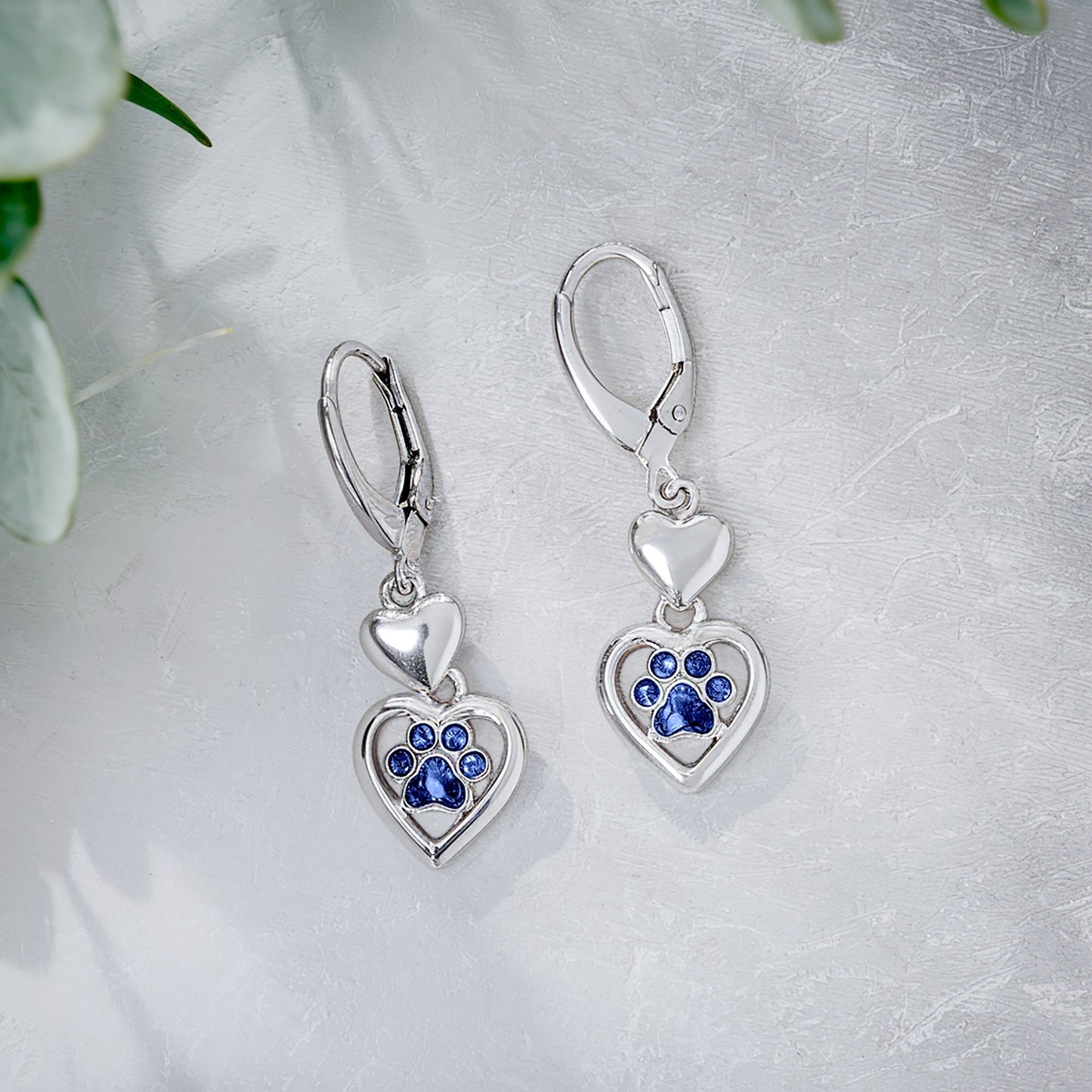 Paw Heart Birthstone Earrings in Stainless Steel