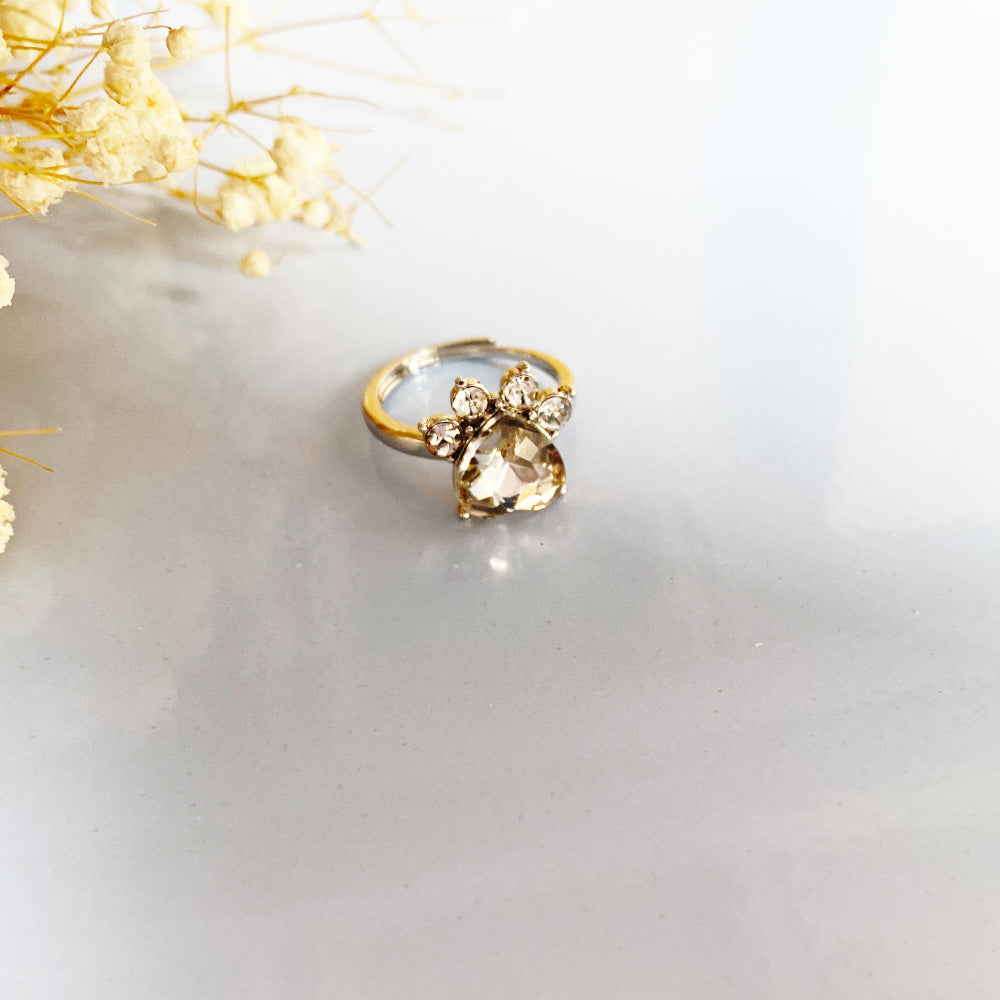 Personalized Paw Birthstone Ring – Stainless Steel