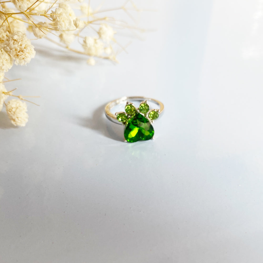 Personalized Paw Birthstone Ring – Stainless Steel