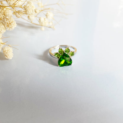 Personalized Paw Birthstone Ring – Stainless Steel
