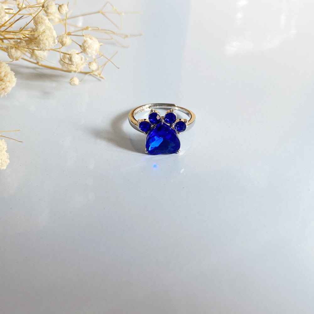 Personalized Paw Birthstone Ring – Stainless Steel