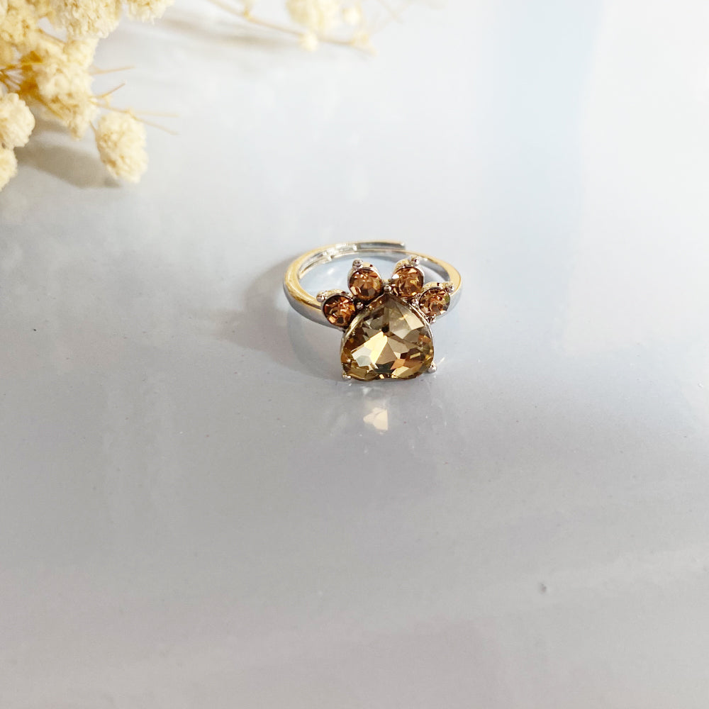 Personalized Paw Birthstone Ring – Stainless Steel