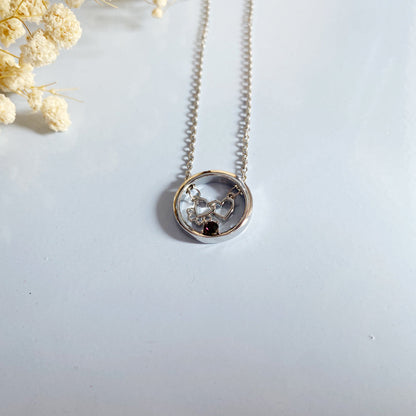 Personalized Paw & Heart Birthstone Necklace – Stainless Steel