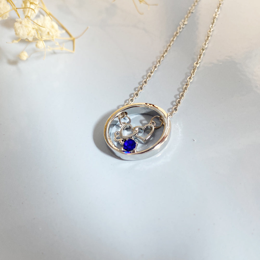 Personalized Paw & Heart Birthstone Necklace – Stainless Steel