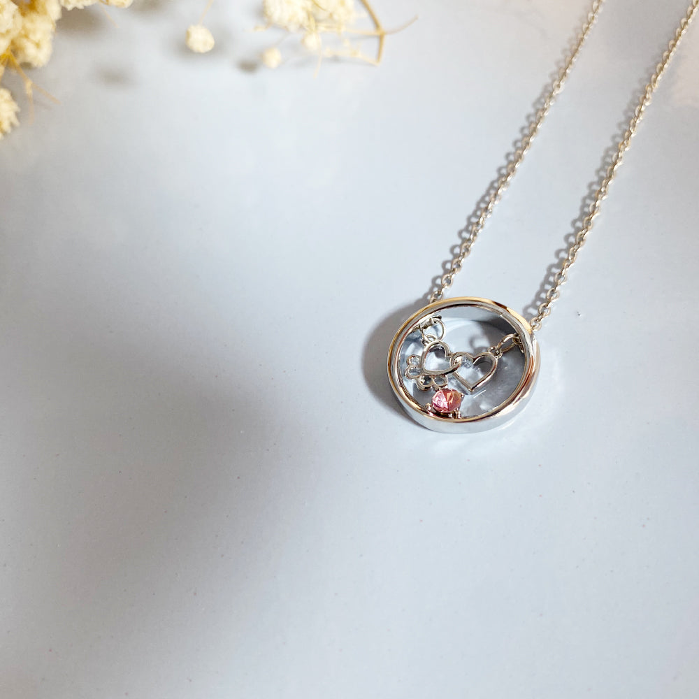 Personalized Paw & Heart Birthstone Necklace – Stainless Steel