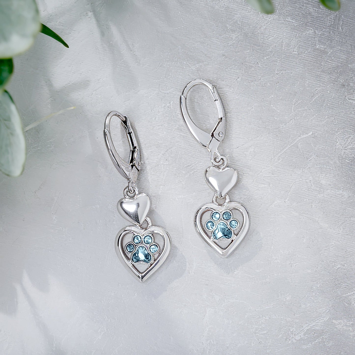 Paw Heart Birthstone Earrings in Stainless Steel