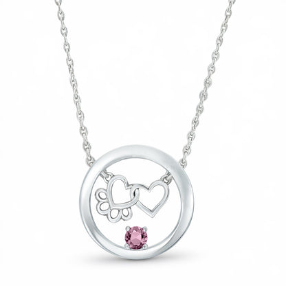 Personalized Paw & Heart Birthstone Necklace – Stainless Steel