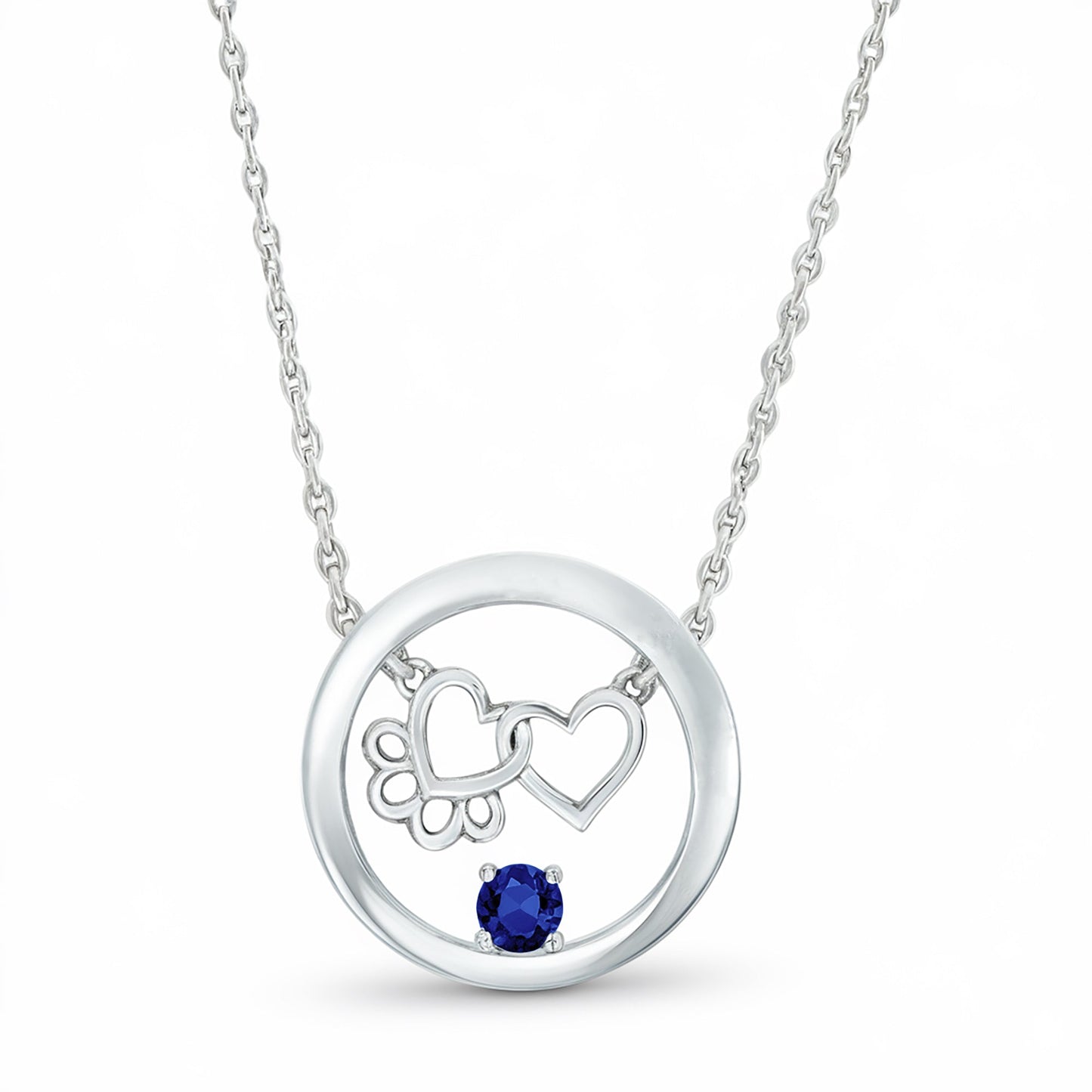 Personalized Paw & Heart Birthstone Necklace – Stainless Steel